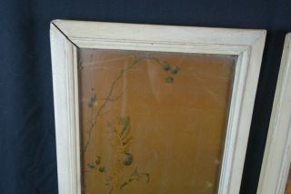 Pair Antique Victorian 19th Century Lithograph Print of Birds Framed 2