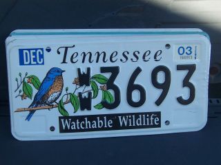 Ww 3693 = 2003 Tennessee Watchable Wildlife Us Mancave Art