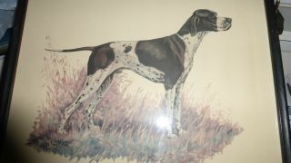 Vintage Ole Larsen Dog Print - Pointer