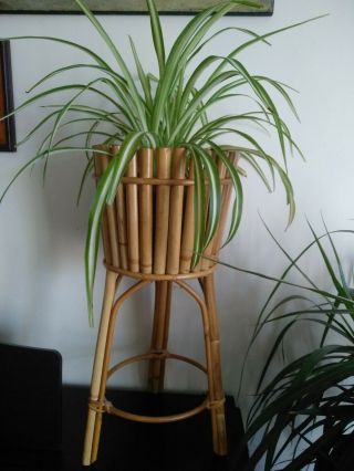 Vintage Bamboo Planter Plant Stand Boho Wicker Rattan Cane 1970s (plant Not Inc)