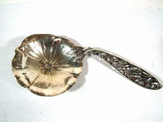 Shreve Treat & Eacret Sterling Silver San Francisco Poppy Souvenir Spoon