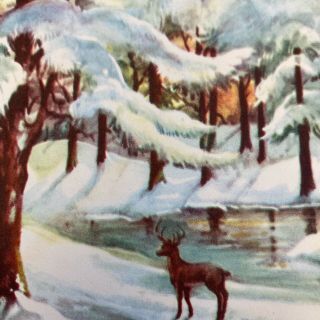 Vintage Mid Century Christmas Greeting Card Deer In Snowy Woods Trees By Pond