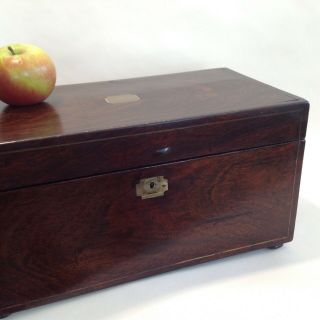 Antique Rosewood Tea Caddy Box With Fitted Interior / For Restoration
