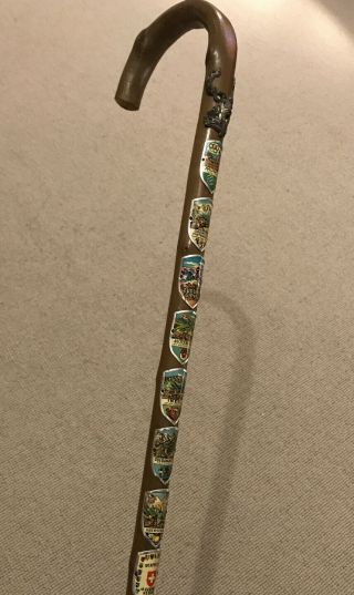 German Vintage Walking Stick With 10 Badges / Mounts.  Gorgeous Collectible Cane