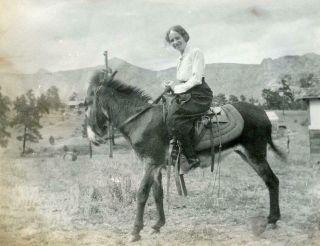Ac621 Vtg Photo Woman On Donkey,  Mountain Range C Early 1900 