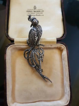 65a Antique Art Deco Silver Bird Of Paradise Brooch Marcasite Read Descript