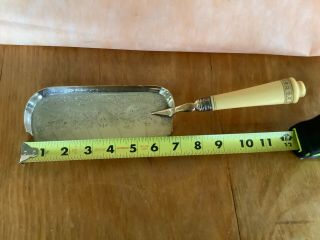 Antique Etched Table Crumb Scoop/tray,  Silver Plate With Lovely Bone (?) Handle