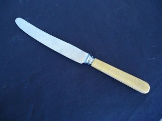 Vintage Faux Bone Handle Dinner Knife Firth Brearley Sheffield 23cm