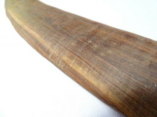 Fine Antique Australian Aboriginal Mulga wood Hunting Boomerang Australia 3