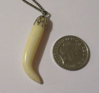 Vintage Shark ' s Tooth Pendant & Chain Decorative Silvertone Top Unusual 2