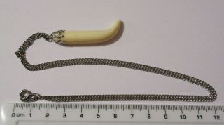 Vintage Shark ' s Tooth Pendant & Chain Decorative Silvertone Top Unusual 3