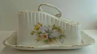 Antique China Porcelain Stoke On Trent Staffordshire Butter Dish Cheese