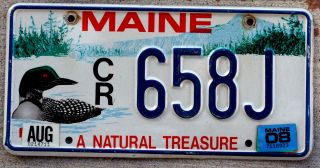 Maine " A Natural Treasure " License Plate With A Red - Eyed Loon - 2008 Sticker