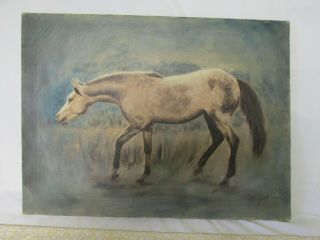 Vintage Horse Painting,  Oil On Canvas,  Signed