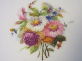 7 Antique French Old Paris hand painted Floral 8.  25 