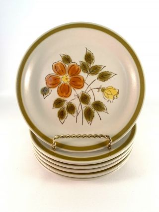 Vintage (1970s) Wild Flower Stoneware Salad/dessert Plates (set Of 6)