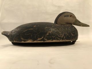 Antique Vintage Wild Fowler Old Saybrook Wood Duck Decoy Hunting Display Stamped