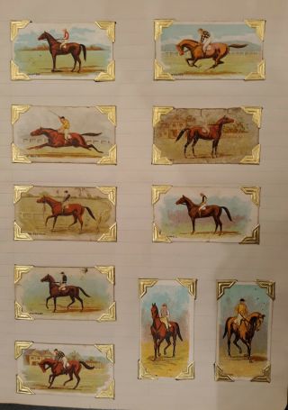 28 X " Wills " Cigarettes Horse Racing Cards • 1906