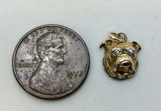 Vintage 10k Gold Bull Dog Head With Diamond Eyes Charm