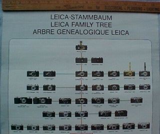 Vintage Leitz LEICA FAMILY TREE (LEICA - STAMMBAUM) POSTER 1913 to 1979 Exc.  Cond. 2