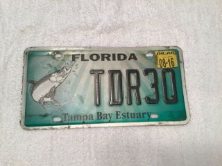 Florida Tampa Bay Estuary License Plate Tag.
