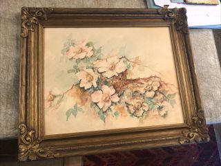Antique Watercolor Painting Of Flowers Still Life Signed N.  Macdonald Framed