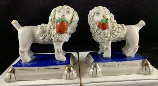 Antique Staffordshire Dogs Pair Confetti Poodle Spaniel Miniature Small Tiny