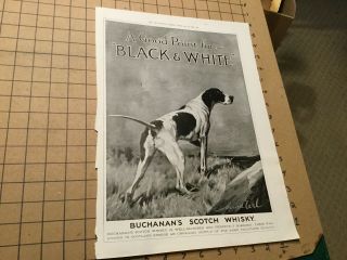Vintage Removed Ad - 1915 Black & White Buchanans Scotch Whisky