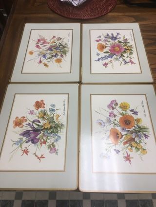 Vintage Pimpernel Placemats (4) North American Wild Flowers 15x11