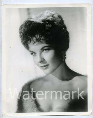 1960s Vintage 8x10 Promo Photo Actress Kaye Elhardt Glamour