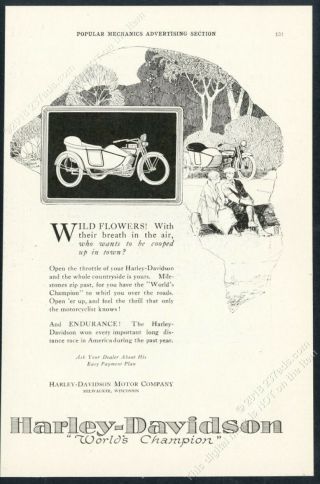 1920 Harley Davidson Motorcycle And Sidecar Art Vintage Print Ad