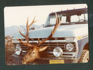 Vintage Truck Photo 1973 1974 1975 Ford Pickup & Deer Head Hunting Trophy 444051