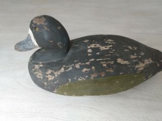 Antique Duck Decoy Wooden Glass Eyes Maryland