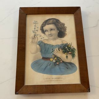 Antique Currier & Ives Print Little Bluebell 16.  5 X12.  5”