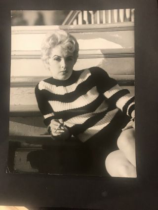 Stella Stevens Vintage 7 1/2” X 9 3/4” Hollywood Press Photo 1961