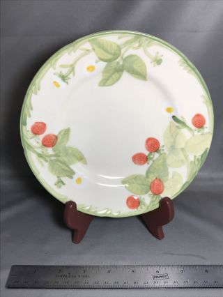 Vintage Franciscan Strawberry Fair Stoneware Salad Plate 8” 139
