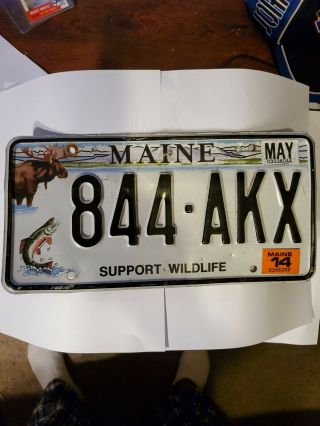 2014 Maine " Support Wildlife/moose " License Plate (844 - Akx)