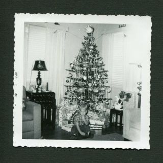 Vintage 1961 Photo Boy & Christmas Tree W/ Shiny Brites 447101