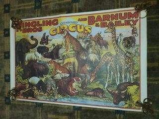 Vintage Ringling Bros And Barnum & Bailey Show Poster Jungle Animals P - 31 131