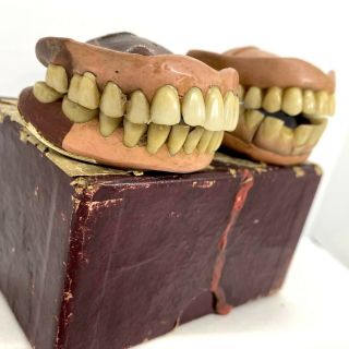Vintage / Antique Dentures Full In Cardboard Box False Fake Teeth Weird