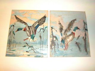 Set Of 2 Vtg.  Duck Paint By Numbers,  Finished By Children,  8 " X 10 ",  No Frames