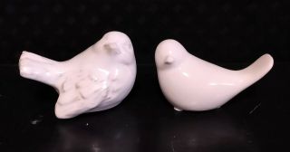 Vintage White Glazed Porcelain Ceramic Garden Bird Pair Male Female?