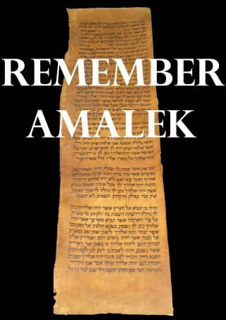 Torah Scroll Bible Vellum Manuscript Leaf 300 Yrs Yemen Deuteronomy 24:19 - 26:5