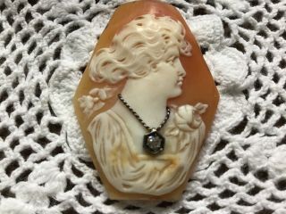 Antique Cameo W/genuine Diamond Accent - Shell Only - Hand Carved Rare Shape - Lovely