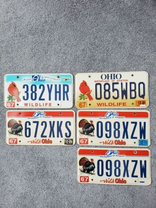 Ohio Bird License Plates.  5 Plates,  One Pair,  Turkeys And Cardinals