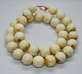 70.  62g 33bead Antique Formed White Boney Baltic Amber Butterscotch Bead Necklace