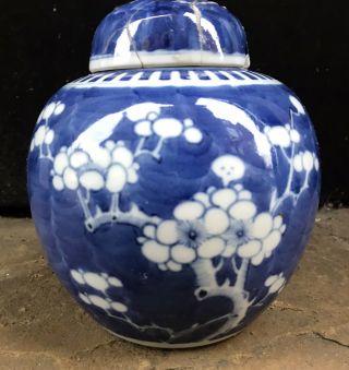 Antique Chinese Prunus Jar With Lid