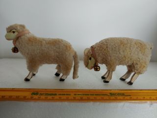 Antique/vintage Putz Nativity Wooly Sheep With Bells And Wood Stick Legs