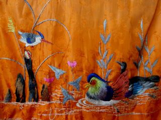 Antique Silk Chinese Robe W/ Gorgeous Embroidered Birds To Repurpose