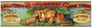 Grape Crate Label Vintage Lodi C1920s Royal Tiger Wild Cat Beast
